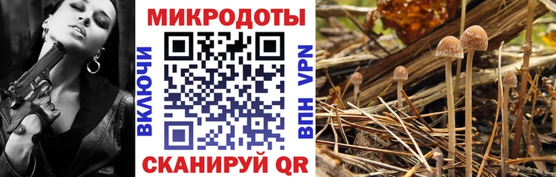 Галлюциногенные грибы Magic Shrooms  Канаш 