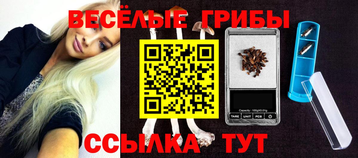 Канаш  Псилоцибиновые грибы ЛСД  Вход с VPN 