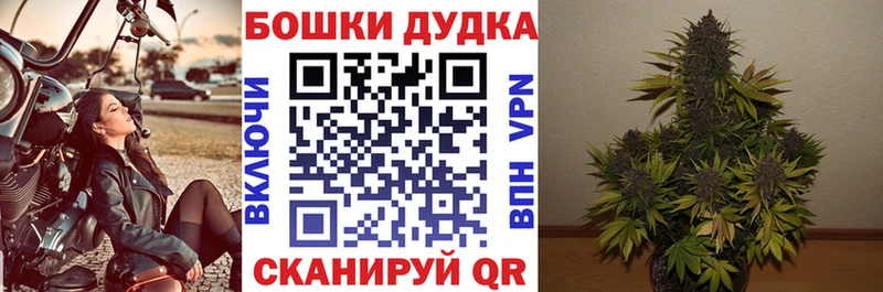 дарнет шоп  мега онион  Бошки Шишки планчик  Канаш 